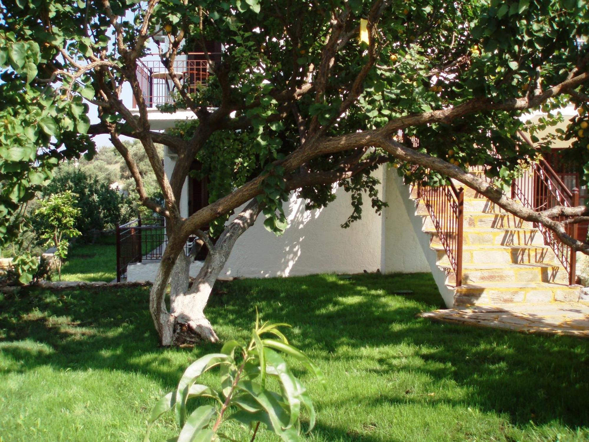 Scorpios Hotel & Suites Đảo Samos Ngoại thất bức ảnh